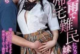 MIAA-280 Until Her Morning With Her Sister Who Became A Refugee Coming Home Due To