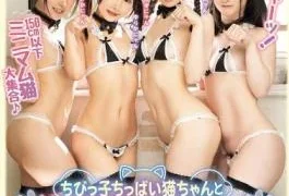 MIAB-575 Cat Girl In Heat Will Welcome You. A Fixed-price Subscription Service For Small, Small-breasted