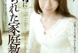 RBD-453 Studio Attackers – Private Tutor Painted by Torture & love Hitomi Aki