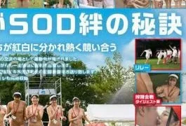 SDJS-346 SOD Female Employees 2025 Soft On Demand Sports Festival: A total of 37 male