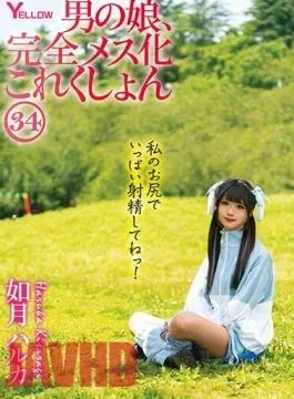 HERY-138 Man’s Daughter, Complete Female Collection 34 Haruka Kisaragi
