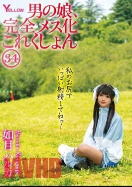 HERY-138 Man’s Daughter, Complete Female Collection 34 Haruka Kisaragi