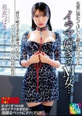 EKDV-796 The Pet That My Senior Asked To Take Care Of Was A Masochist Woman