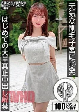 NAMH-078 13 Shots Into A Healthy, Hairy Uterus: First Time Massive, Genuine Cumshots Unleashed –