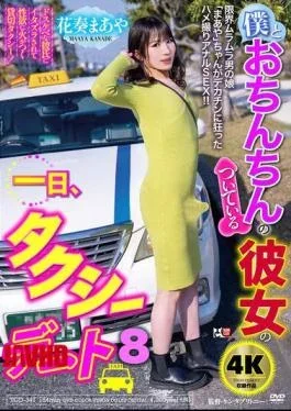 TCD-347 A Day In The Life Of Me And My Girlfriend With A Penis, A