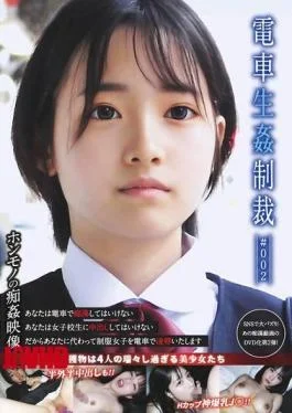 YDNS-002 Train Sex Punishment #002
